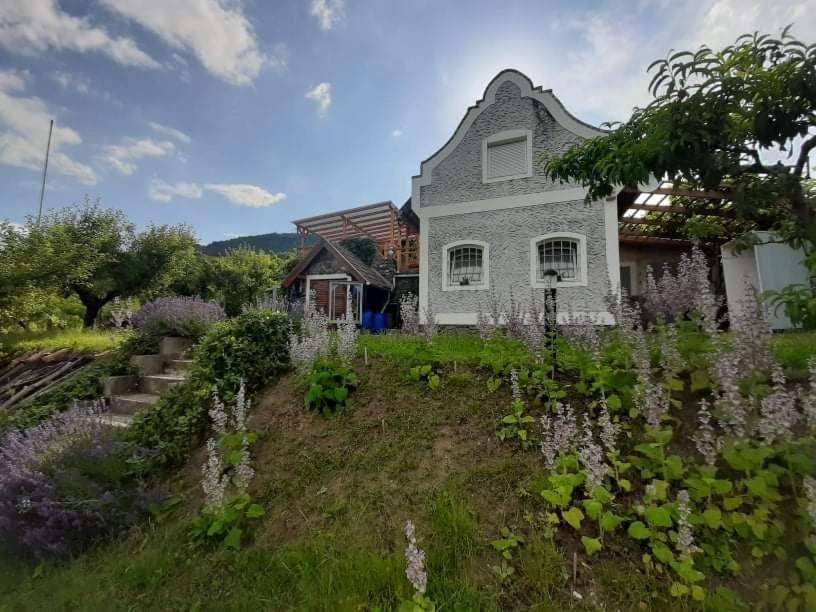 Vulcano Vendégház Kisapati Exterior foto